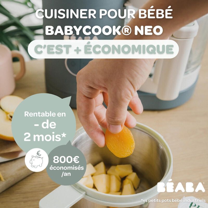Babycook Neo Grey - beaba