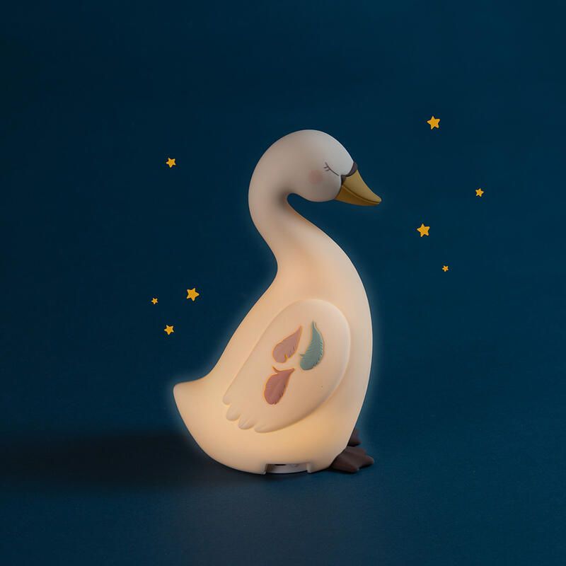 Veilleuse Ecole De Danse Moulin Roty Cygne - moulin roty
