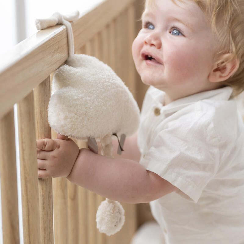 Musical Nuage Teddy Bouclette - nattou
