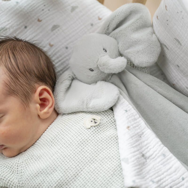 Maxi doudou éléphant Loulou 60x40cm Vert Tilleul - nattou