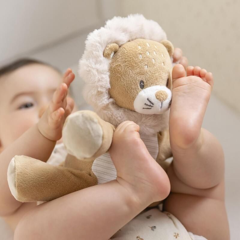 Peluche 30cm Lion Ernest Ernest, Flo & Oli - nattou