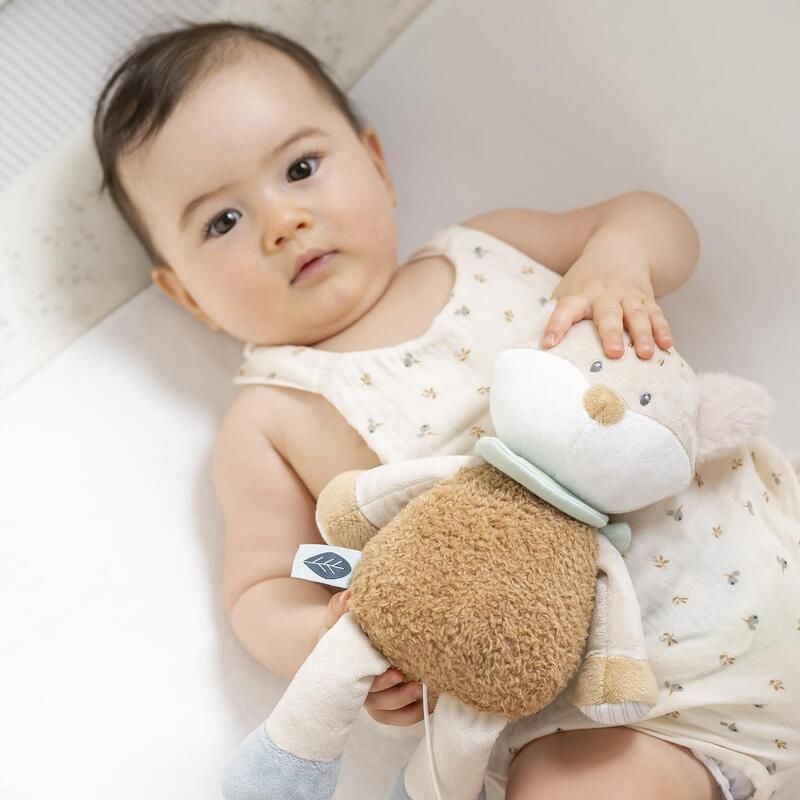 Peluche Musicale Renard Flo Ernest, Flo & Oli - nattou