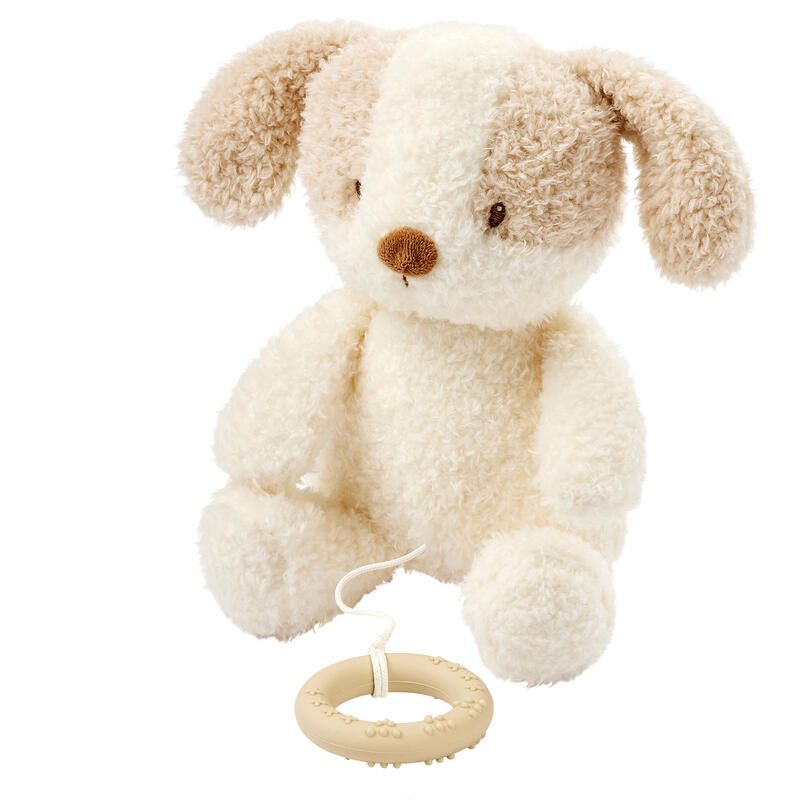 Peluche Musicale Chien Teddy Bouclette - Blanc - nattou